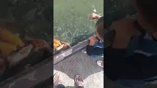 baby and koi fish #shorts #koifish #cutebaby #baby #babyandfish #funnybaby