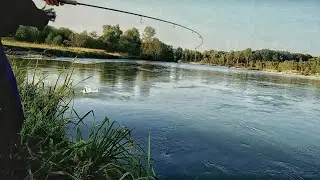Рыбалка#Адыгея#Лаба#Жерех#октябрь#2016