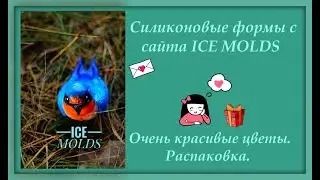 Распаковка посылки с сайта  ICE MOLDS. Февраль 2020г.