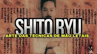 Shito Ryu Karate: The Art of Precise Hand Techniques