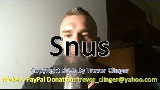 How To Pronounce Snus