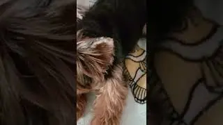 Немного милоты в ленту 😍🥰. Моя кнопочка