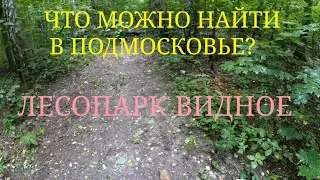 ПОИСК В ЛЕСОПАРКЕ ВИДНОЕ
