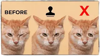 Photoshop Tips: How to Rotate, Flip and Use the Clone Stamp Tool