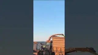 СТАРИК В ДЕЛЕ 🤯