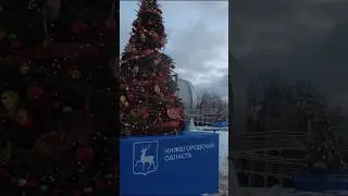 Москва/ВДНХ/Найди елку своего региона/Новый 2024 год/елки России часть 2