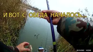 КАРАСЬ  КАК  С  ЦЕПИ  СОРВАЛСЯ  И  СОЖРАЛ  ВСЕХ  МОИХ  ЧЕРВЕЙ