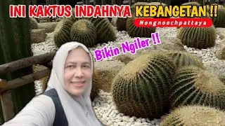 Super Indah! Wisata Taman Kaktus Nongnooch di Pattaya