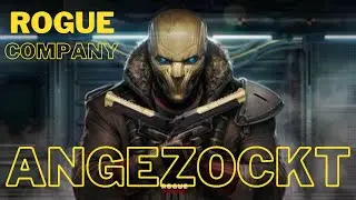 ROGUE COMPANY / LOHNT SICH DAS SPIEL / ERSTES GAMEPLAY