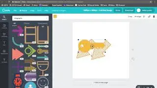 Canva Basics