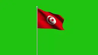 Tunisia Flag Green Screen | Tunisia Flag Waving Green Screen Animation | Royalty-Free