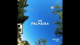 LYFE - palmeira (videoclip)