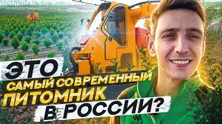 Питомник растений ВЕНЕВ - МЕЧТА ПИТОМНИКОВОДА [фильм Ивана Малича]