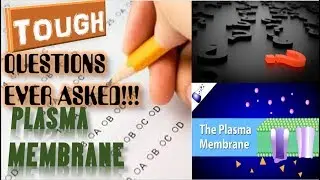 Plasma membrane | Toughest Questions ever asked in various Medical exams |