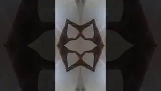 #shorts #trending shorts #youtubeshorts youtune