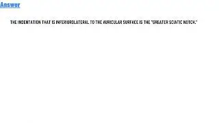 Identify the indentation that is inferiorolateral to the auricular surface.
