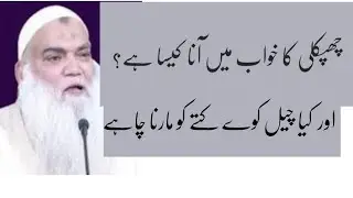 Khwab Main Chipkali dekhne ki Tabeer or Cheel kauwey ko kyun marna chaiye ? iqbal Salfi