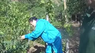 Покупаю дачу в Керчи  Kupno daczy w Kerczu  Buying a dacha in Kerch