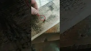 Как выкрутить сорванный саморез