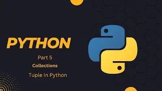 Python Tuples vs. Lists - Understanding the Differences