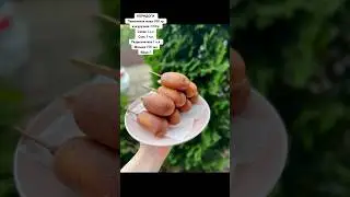 Когда дети просят фастфуд #reels #youtube #хлеб #cake #закваска #рецепты #корндог #обед #фастфуд