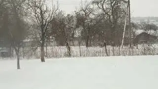А в нас вже сніг випав💨❄️