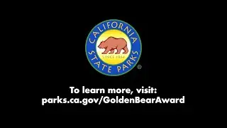 Golden Bear 2023
