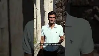 Можно ли цикорий?