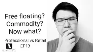 Free floating? Commodity? Now what?   Categorising currency pairs FINAL  Professional vs Retail 13