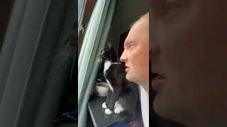Зубарев - Гаражик гавкает  Ты кот гавкаешь 