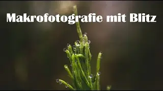 Landscape photography | Macro photography with flash