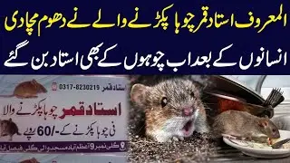 ustad qamar | ustad qamar choha pakrny wala ka life style - Paisa Kitna kamaya? 