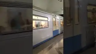 прибытие поезда на станции метро Чертановская 