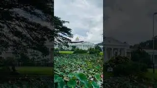 Menelusuri Keindahan Kebun Raya Bogor dan Istana Kepresidenan: Warisan Alam dan Sejarah