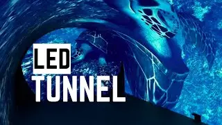 Reference Link-The Future of Light Displays: Introducing the LED Tunnel!