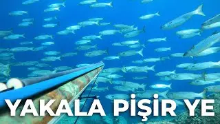 BİNLERCE BALIK ETRAFIMIZI SARDI - Topan Kefal Havyarı Yedik - Zıpkınla Balık Avı Vlog - 21