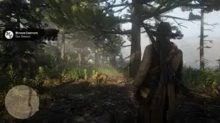 Red Dead Redemption 2 Meeting Hamish