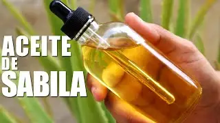 Como Hacer Aceite de Sabila | Aloe Vera