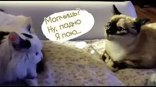 Попытка 2 - пообщаться с Бусинкой =)