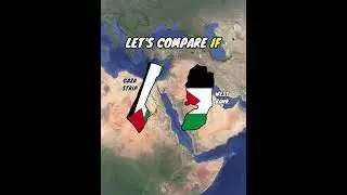 Let's Compare if Gaza Strip and West Bank Become an Separate independent Countries | Data Duck