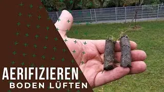 Rasen aerifizieren und Boden lüften - so gehts