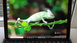 x64 Emulation on Windows 10 ARM (WOA)