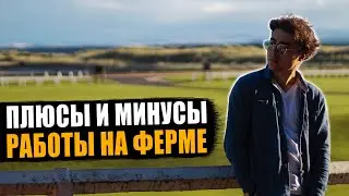ПЛЮСЫ И МИНУСЫ работы на ФЕРМЕ. Клубничная ферма в Шотландии. Работа в Англии на ферме.