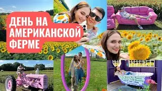 УЕХАЛИ ИЗ ГОРОДА НА ФЕРМУ В НЬЮ-ДЖЕРСИ