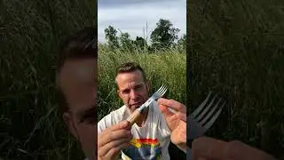 Opinel Picnic Plus Set Review