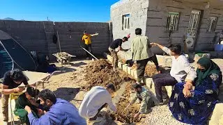 🛖🌾Building a Stone Platform for Flower Planting: Amir's Family Farm Adventure