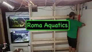 How To Build A  DIY Wood Rack For 8 20 Gallon Long Fish / Shrimp Tanks - RomaAquatics.com 🆒