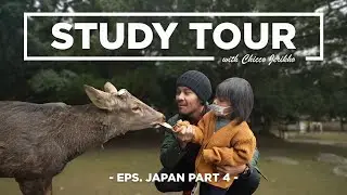 SAATNYA KITA EXPLORE OSAKA! SURI EXCITED BANGET MAU NGASIH MAKAN RUSA DI NARA PARK