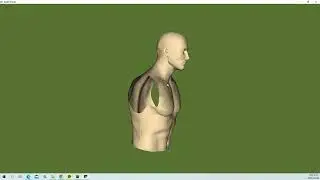 VTK Example - ReadPolyData - python