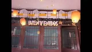 Decoración Escuela Democracia